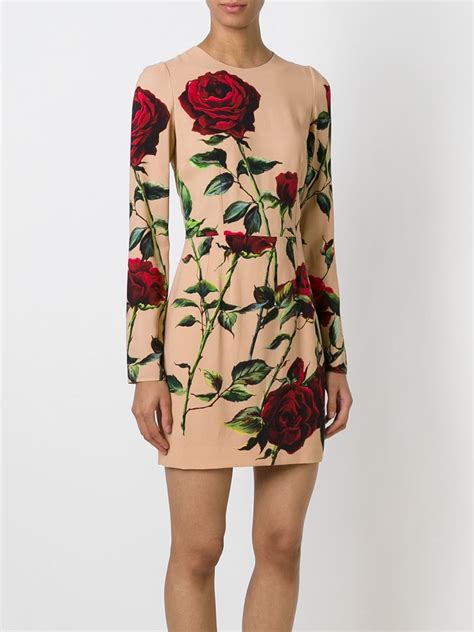 dolce gabbana dolce rose|dolce gabbana rose print dress.